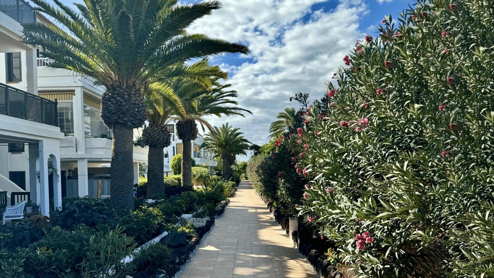 Serena Vista Golf 791 - Appartamento Confortevole A Amarilla Golf Сан Мигель Экстерьер фото